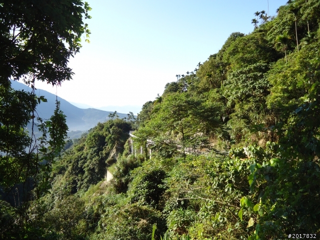 2012/01/27嘉義竹崎獨立山-大巃頂-安靖古道