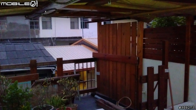 拖了3年的南方松空中花園~以完成8~9成!!