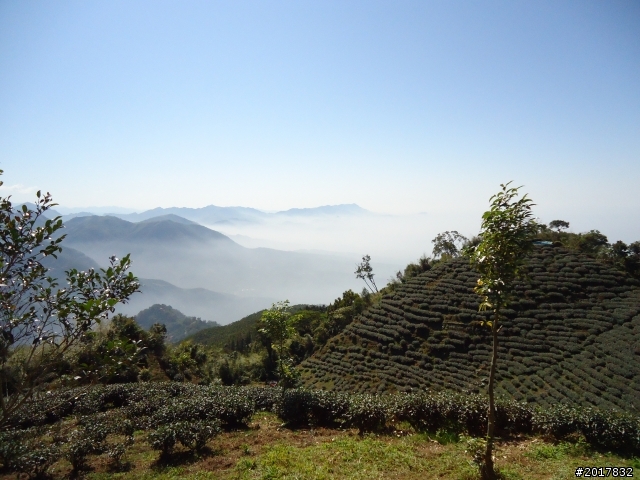 2012/01/27嘉義竹崎獨立山-大巃頂-安靖古道