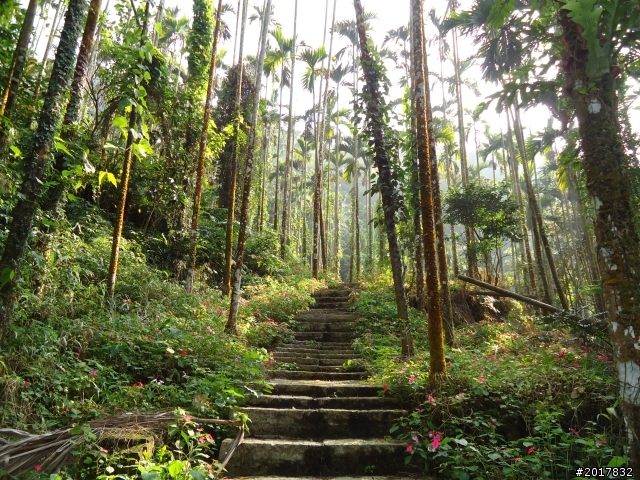 2012/01/27嘉義竹崎獨立山-大巃頂-安靖古道