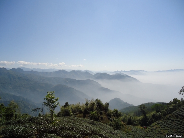 2012/01/27嘉義竹崎獨立山-大巃頂-安靖古道