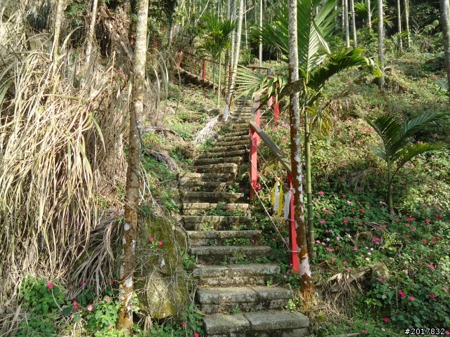 2012/01/27嘉義竹崎獨立山-大巃頂-安靖古道