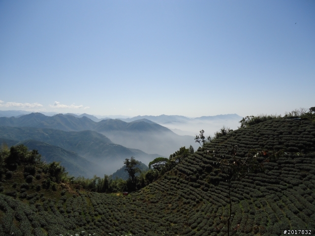 2012/01/27嘉義竹崎獨立山-大巃頂-安靖古道