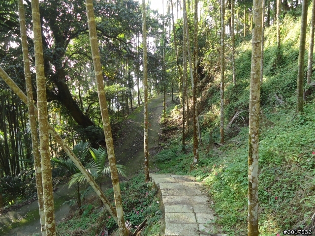 2012/01/27嘉義竹崎獨立山-大巃頂-安靖古道