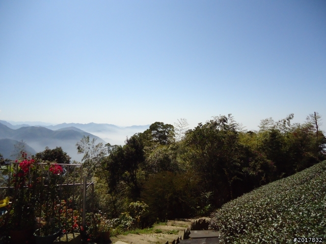 2012/01/27嘉義竹崎獨立山-大巃頂-安靖古道