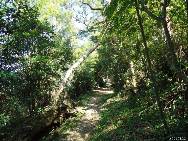 2012/01/27嘉義竹崎獨立山-大巃頂-安靖古道