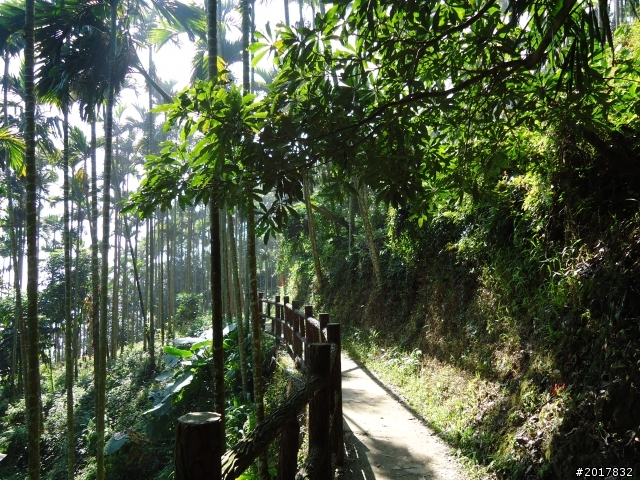 2012/01/27嘉義竹崎獨立山-大巃頂-安靖古道