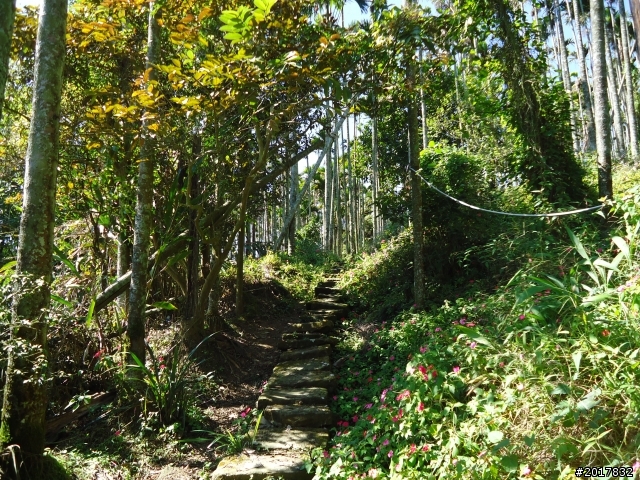 2012/01/27嘉義竹崎獨立山-大巃頂-安靖古道