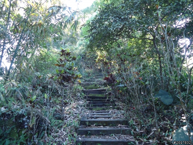 2012/01/27嘉義竹崎獨立山-大巃頂-安靖古道