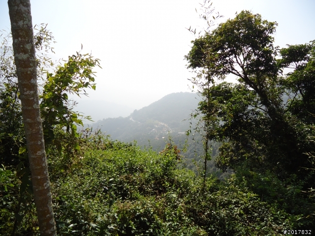 2012/01/27嘉義竹崎獨立山-大巃頂-安靖古道