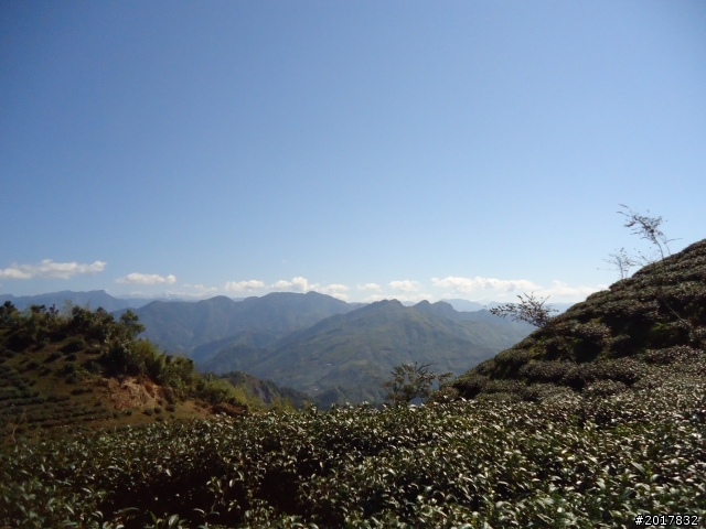 2012/01/27嘉義竹崎獨立山-大巃頂-安靖古道