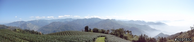 2012/01/27嘉義竹崎獨立山-大巃頂-安靖古道