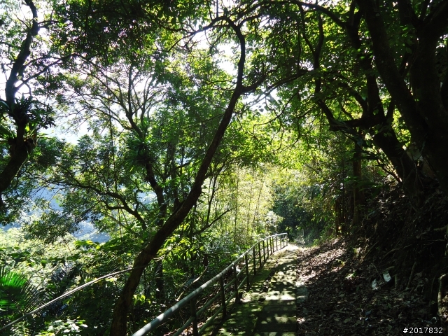 2012/01/27嘉義竹崎獨立山-大巃頂-安靖古道
