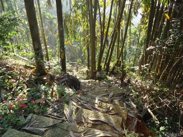 2012/01/27嘉義竹崎獨立山-大巃頂-安靖古道