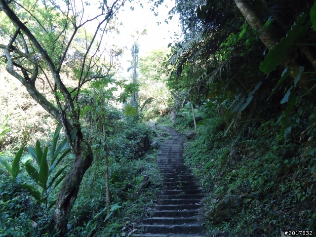 2012/01/27嘉義竹崎獨立山-大巃頂-安靖古道