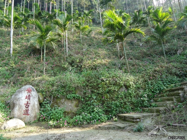 2012/01/27嘉義竹崎獨立山-大巃頂-安靖古道