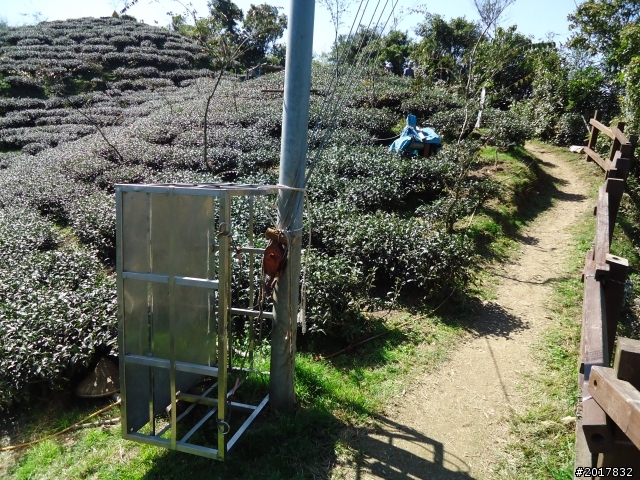 2012/01/27嘉義竹崎獨立山-大巃頂-安靖古道