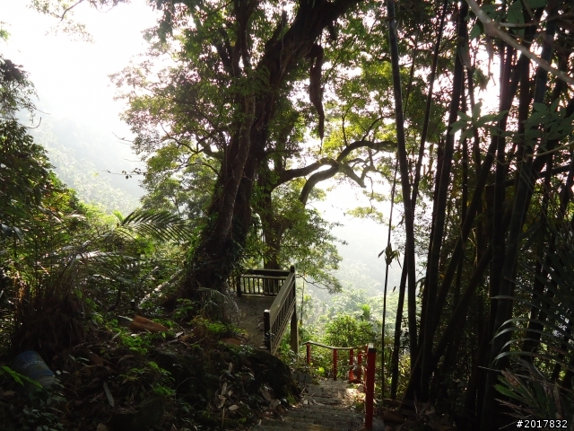 2012/01/27嘉義竹崎獨立山-大巃頂-安靖古道
