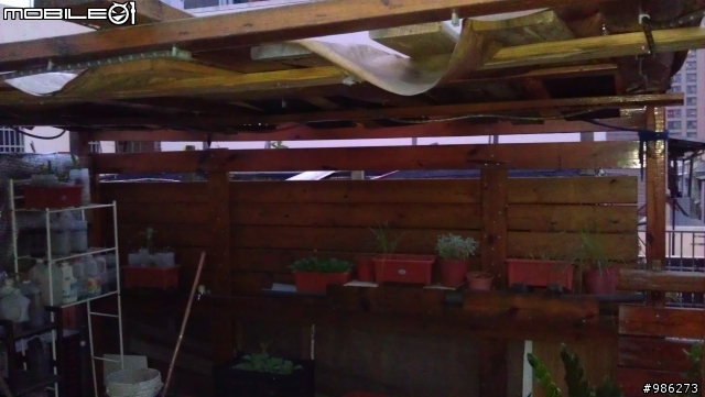 拖了3年的南方松空中花園~以完成8~9成!!