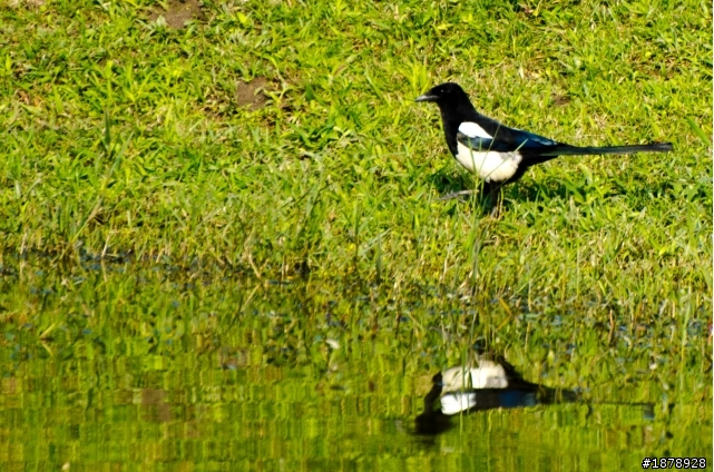 我的N 70-300 F4.5-5.6 入手開箱^^(1/29更新戶外照)