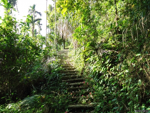 2012/01/27嘉義竹崎獨立山-大巃頂-安靖古道