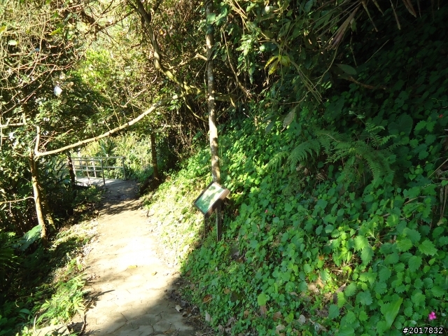 2012/01/27嘉義竹崎獨立山-大巃頂-安靖古道