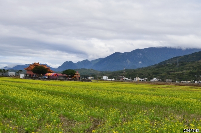 台東鹿野高台,知本東遊季溫泉露營