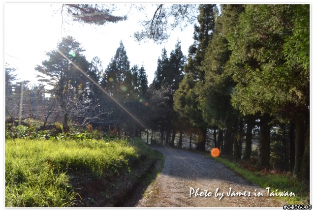 2011年12月最後一周環島遊記(圖多慎入)