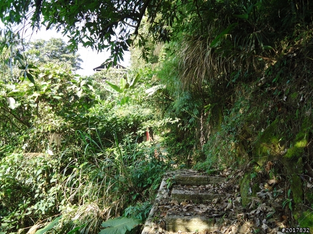 2012/01/27嘉義竹崎獨立山-大巃頂-安靖古道