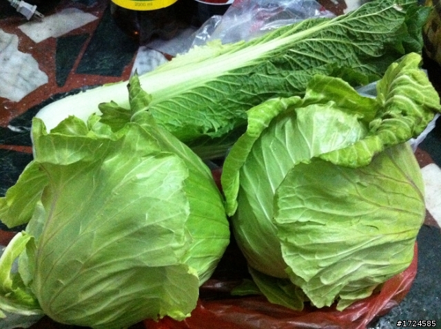 ET 遛CUXI合歡山賞雪&買高麗菜之除夕夜加菜