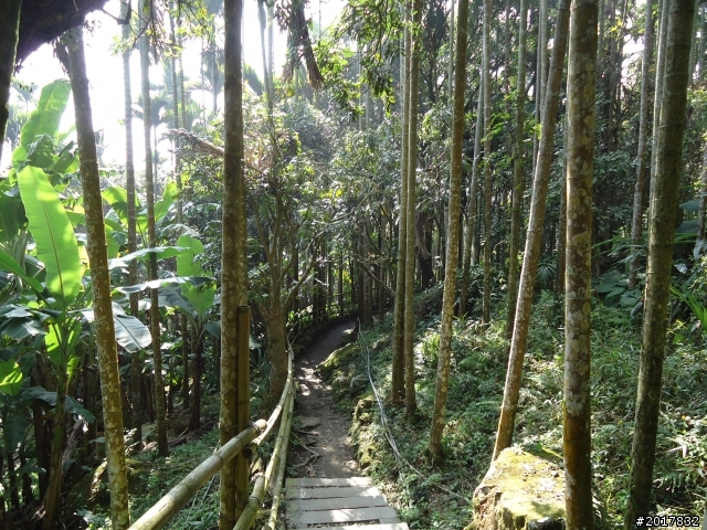 2012/01/27嘉義竹崎獨立山-大巃頂-安靖古道