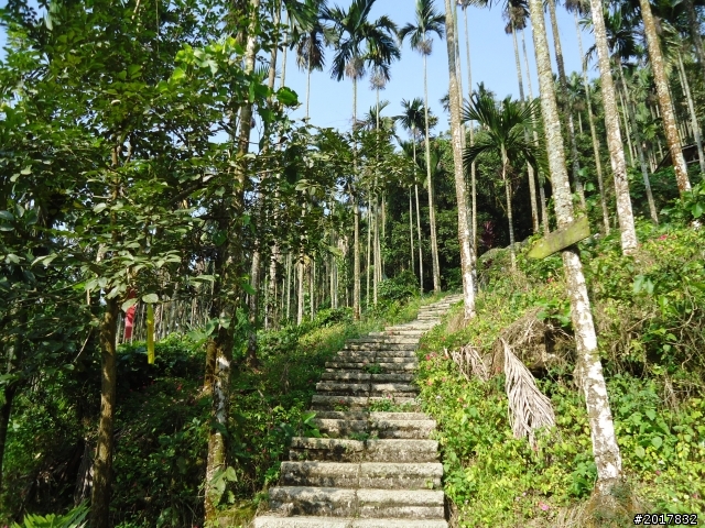 2012/01/27嘉義竹崎獨立山-大巃頂-安靖古道