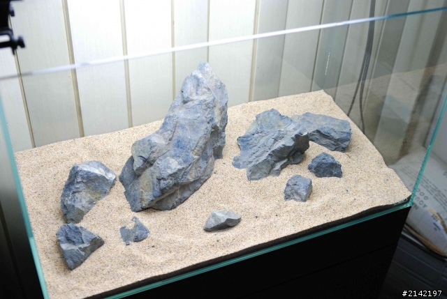 2012 年新年新氣象 大家的水草造景缸換景了嗎? 我的造景過程記錄