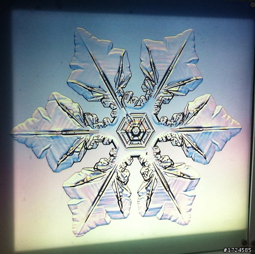 ET 遛CUXI合歡山賞雪&買高麗菜之除夕夜加菜