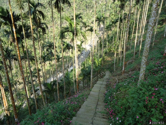 2012/01/27嘉義竹崎獨立山-大巃頂-安靖古道