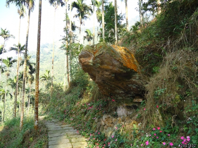 2012/01/27嘉義竹崎獨立山-大巃頂-安靖古道