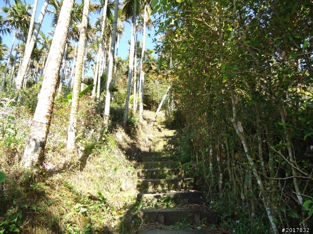 2012/01/27嘉義竹崎獨立山-大巃頂-安靖古道
