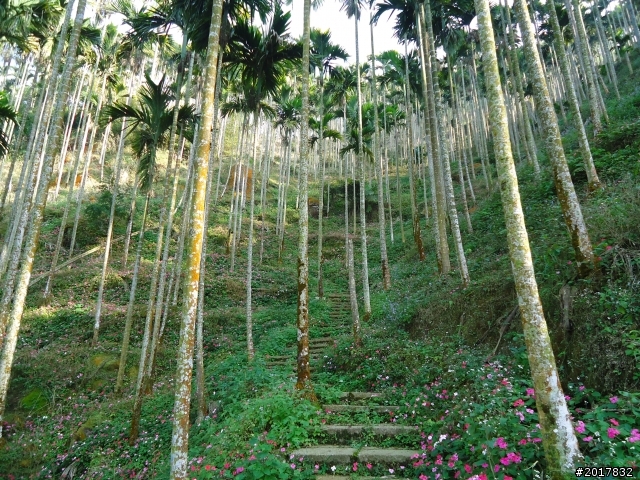 2012/01/27嘉義竹崎獨立山-大巃頂-安靖古道