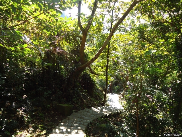 2012/01/27嘉義竹崎獨立山-大巃頂-安靖古道