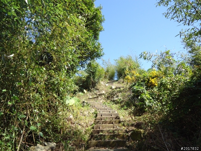 2012/01/27嘉義竹崎獨立山-大巃頂-安靖古道