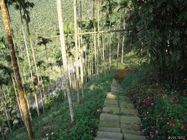 2012/01/27嘉義竹崎獨立山-大巃頂-安靖古道