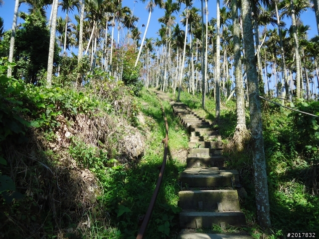 2012/01/27嘉義竹崎獨立山-大巃頂-安靖古道