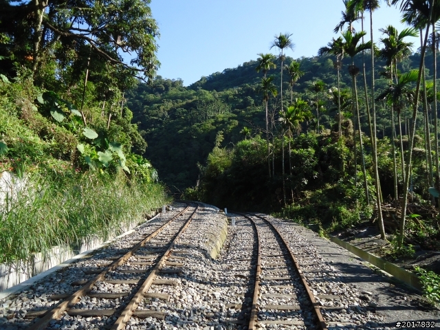 2012/01/27嘉義竹崎獨立山-大巃頂-安靖古道
