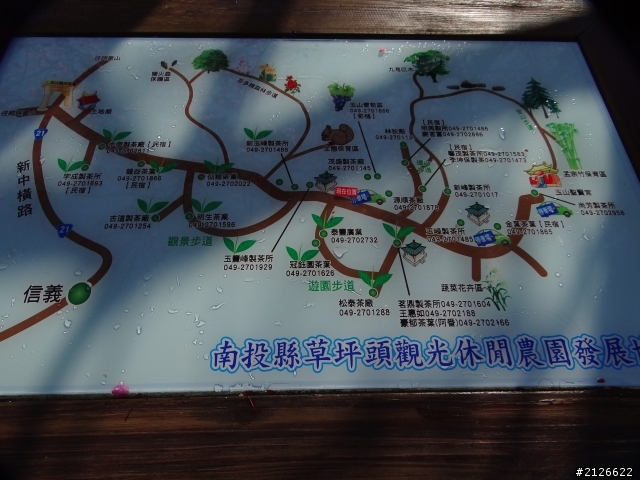 1月26日台21線草坪頭賞櫻