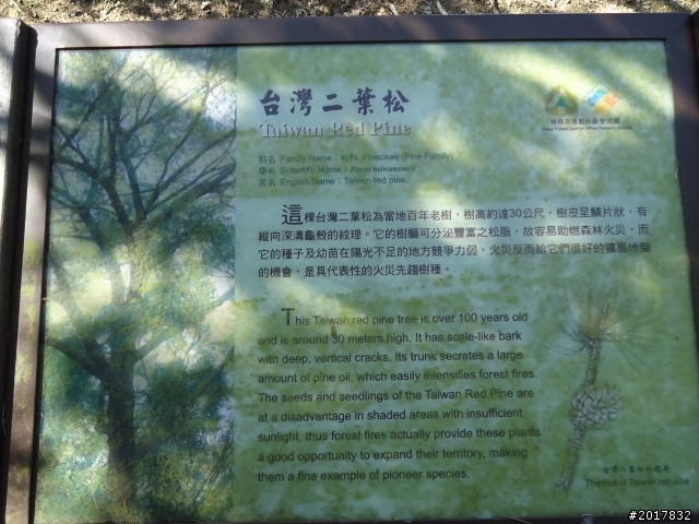 2012/01/27嘉義竹崎獨立山-大巃頂-安靖古道