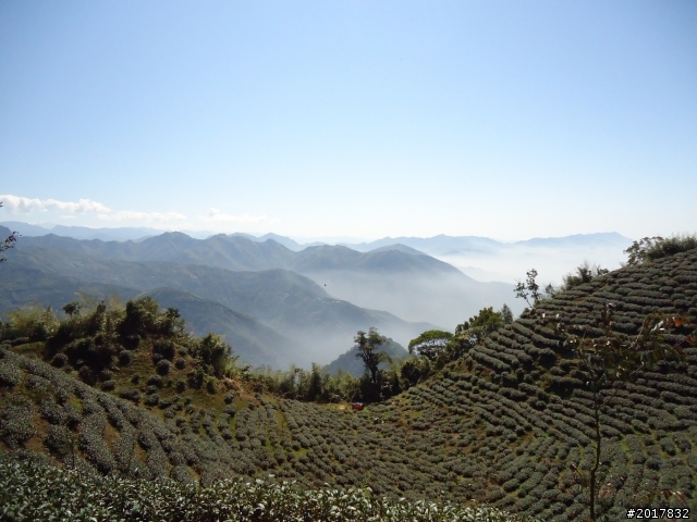 2012/01/27嘉義竹崎獨立山-大巃頂-安靖古道