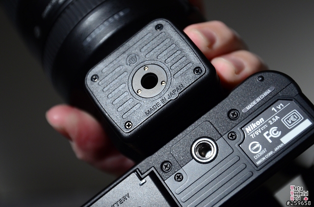 Nikon 1 FT1 原廠接環之不開箱直接上圖,亂拍分享。