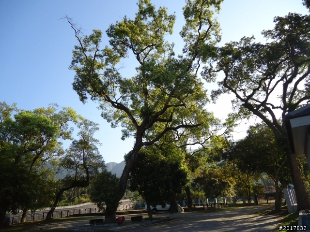 2012/01/27嘉義竹崎獨立山-大巃頂-安靖古道