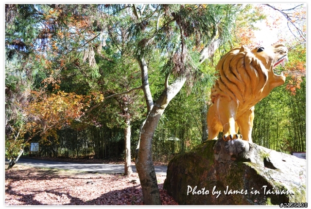 2011年12月最後一周環島遊記(圖多慎入)