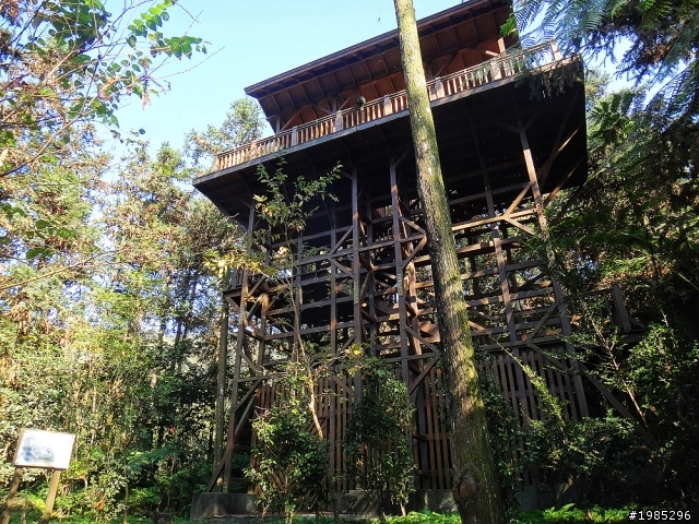 忘憂森林枯水期&夜探妖怪村